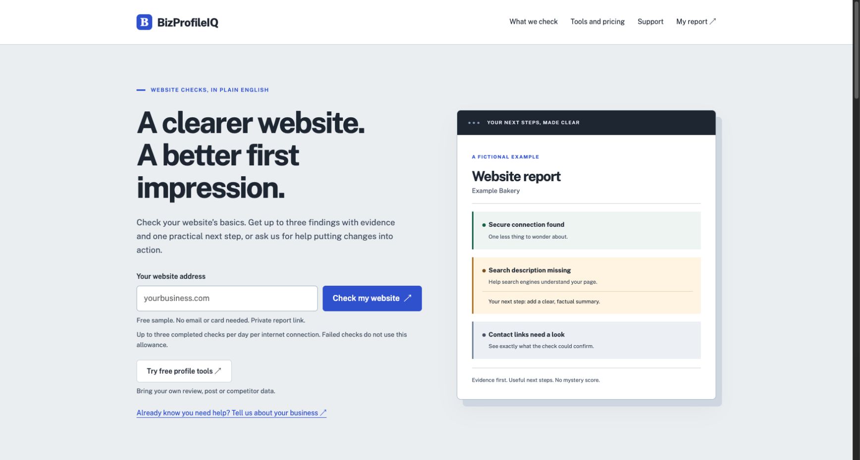 Screenshot of the BizProfileIQ homepage with a website address field and a sample website report.